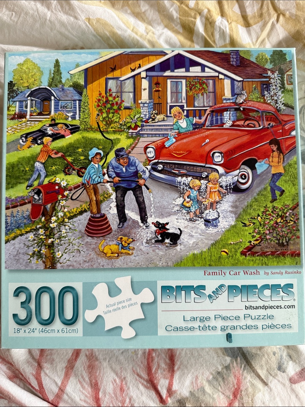 300 piece Bits and Pieces Puzzle  “Family Car Wash” by Sandy Rupinko